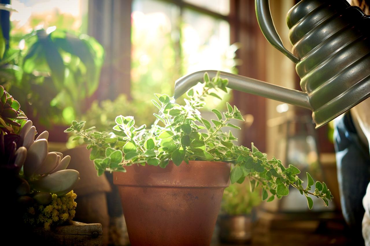 How to Keep Basement Dry Without a Dehumidifier in 7 Steps