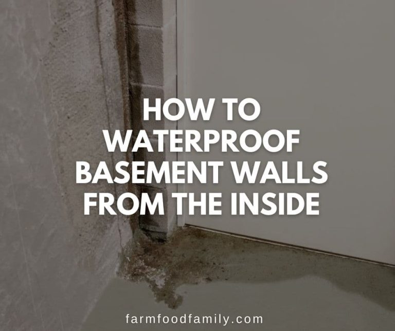 Learn Effective Ways For Waterproofing Basement Walls From Inside ... - Effective Basement Wall Waterproofing Techniques