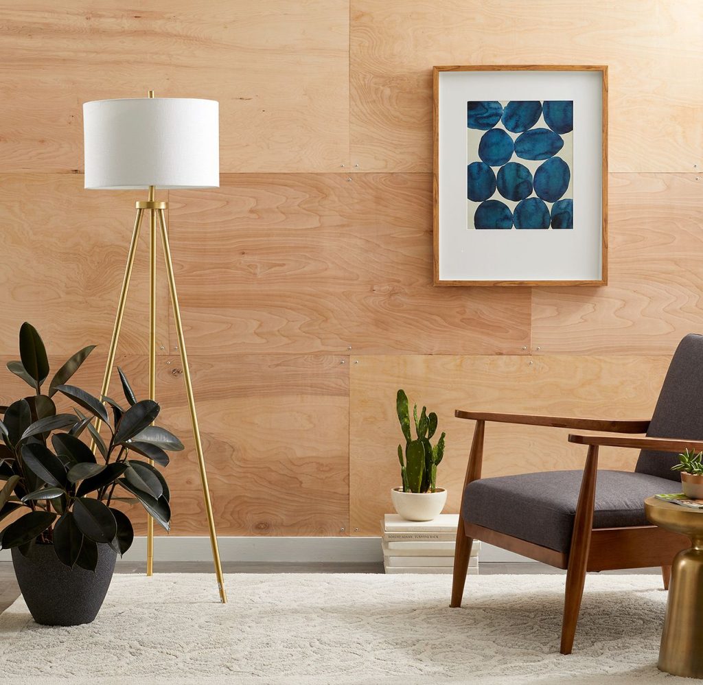 plywood as an alternative to drywall